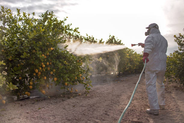 Best Wasp Removal Services  in Moscow, PA