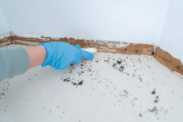 Professional Pest Control in Moscow, PA